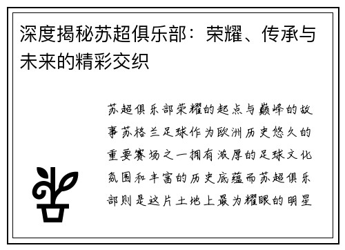 深度揭秘苏超俱乐部：荣耀、传承与未来的精彩交织