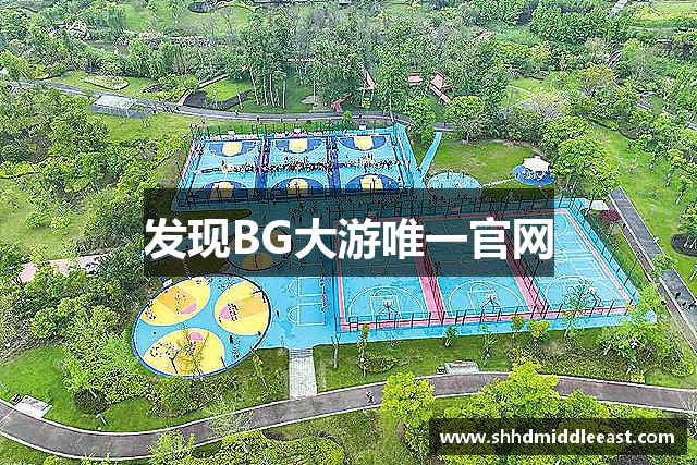 发现BG大游唯一官网